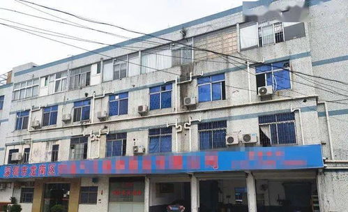 東莞一工廠遭遇“螞蟻搬家式”盜竊，12萬元清真食品不翼而飛，疑有內(nèi)鬼參與